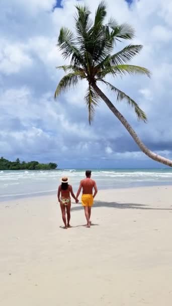 Kilka Spacerów Wzdłuż Plaży Ręka Rękę Pod Palmą Niebo Jest — Wideo stockowe