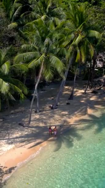 Sebuah Pantai Tropis Yang Menakjubkan Dengan Pohon Palem Air Jernih — Stok Video