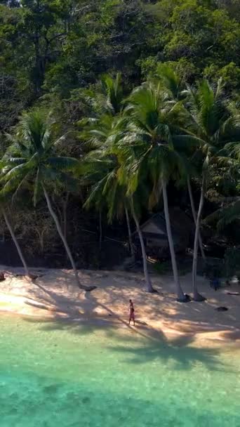 Pemandangan Alam Yang Menakjubkan Yang Menampilkan Pantai Tropis Dengan Pohon — Stok Video