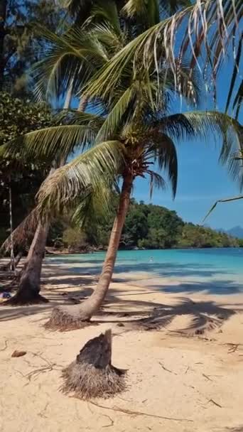 Una Pintoresca Playa Tropical Con Palmeras Aguas Cristalinas Hermoso Paisaje — Vídeo de stock