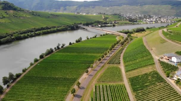 Vineyards Alongside River Moselle Germany Bernkastel Kues Well Known Winegrowing — Stock Video