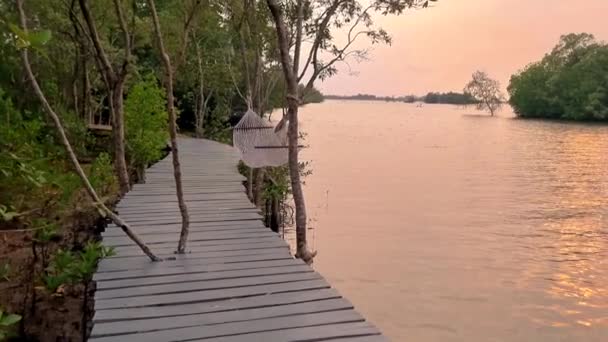 Chantaburi Tayland Bir Mangrov Ormanıyla Çevrili Nehir Kenarındaki Hamak — Stok video