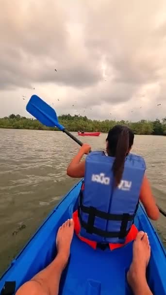 Sea Eagles Flying Mangrove Forest Sunset Asian Thai Women Kayak — Stock Video