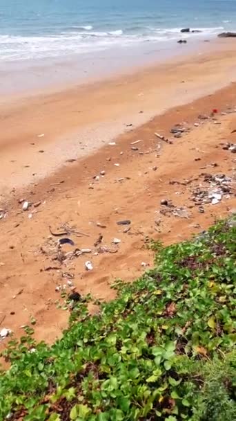 タイのビーチのプラスチックゴミ ビーチのゴミ 空の使用汚れたプラスチックボトルチャンタブリ — ストック動画