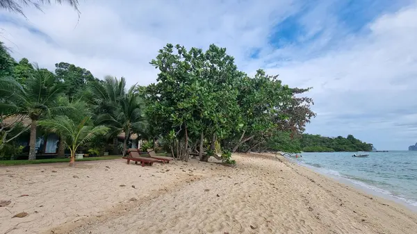 Klidná Písečná Pláž Lemovaná Svěžími Stromy Okouzlujícím Domem Pozadí Pod — Stock fotografie