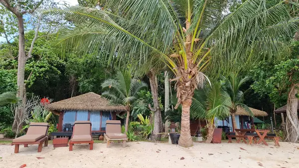 Een Zandstrand Met Ligstoelen Verspreid Onder Wuivende Palmbomen Dat Een — Stockfoto