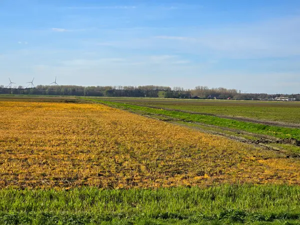 Glyfosaat Landbouwgrond Nederland Effect Van Glyfosaatherbicide Onkruid — Stockfoto