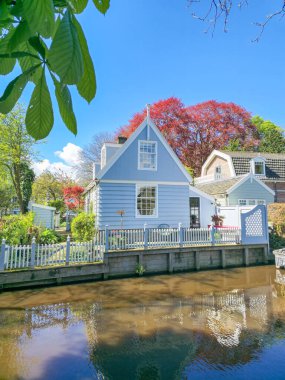 A charming blue house peacefully rests on the riverbank, surrounded by the tranquil waters and serene natural beauty. Broek in Waterland Netherlands  clipart