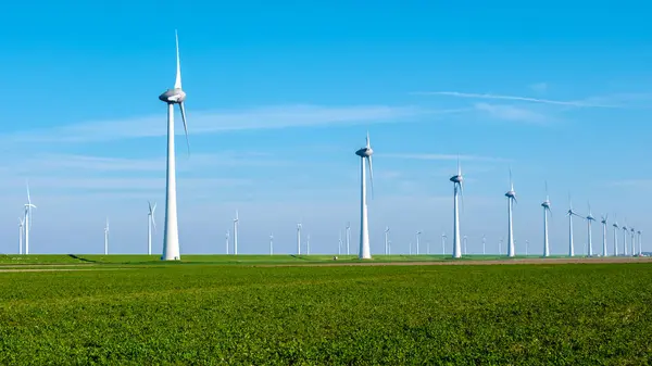 Row Majestic Wind Turbines Standing Tall Lush Green Field Netherlands — Stock Photo, Image