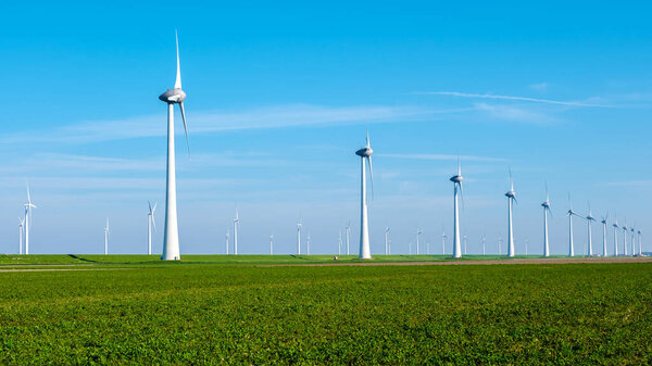 A row of majestic wind turbines standing tall in a lush, green field of the Netherlands Flevoland, harnessing the power of the wind to generate renewable energy. windmill turbines with a blue sky