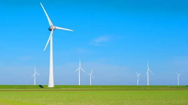 荷兰弗列沃兰的一个风力发电场的风景 几个风车在晴朗的天空下优雅地转过来 有风力涡轮机的绿地 — 图库照片