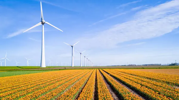 stock image A picturesque landscape unfolds before our eyes as colorful flowers sway in the wind, with majestic windmills standing tall in the distance. windmill turbines, green energy, eco-friendly, earth day