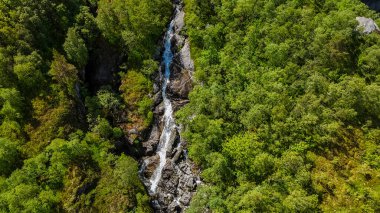 Norveç 'te sık bir ormandan akan çağlayan bir şelalenin havadan görüntüsü. Kjerag, Lysefhjorden, Norveç