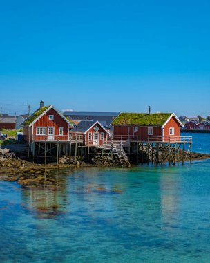 Reine, Lofoten, Norveç, Çimen çatısı olan geleneksel kırmızı evlerden oluşan bir grup Norveç fiyortunun kristal berrak sularında ayakta duruyor..