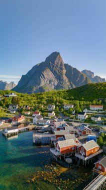 Lofoten Adaları 'ndaki geleneksel Norveç köyünün temiz mavi sulara tepeden bakan ve yemyeşil dağlarla çevrili kırmızı kulübeleriyle hava manzarası. Reine, Lofoten, Norveç