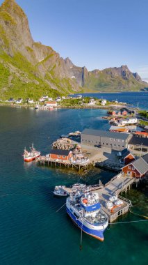 Norveç 'te bir balıkçı teknesi, renkli evler ve güneşin sıcacık parıltısının altındaki görkemli dağlarla dolu sakin bir liman güzel bir manzara yaratıyor. Reine, Lofoten, Norveç