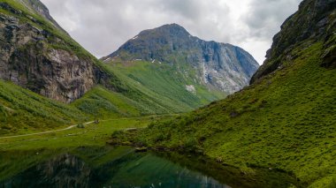 Norveç 'te sakin bir fiyort manzarası, yemyeşil dağlar ve yansıtıcı su yüzeyi..