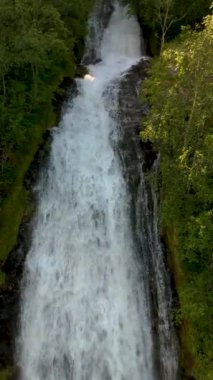 Bereketli bir ormandaki şelalenin büyüleyici hava manzarası, yüksek ağaçlarla çevrili kayalardan çağlayan su. Sakin doğal bir manzarada sakin bir manzara, Fjaerlandsfjorden, Fjord, Vestland, Norveç