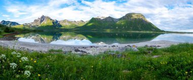 Norveç 'teki sakin bir göl çevresindeki dağları ve gökyüzündeki kabarık bulutları yansıtır. Yeşil çimenler ve kır çiçekleri durgun suyun sınırını çiziyor. Lofoten Norveç