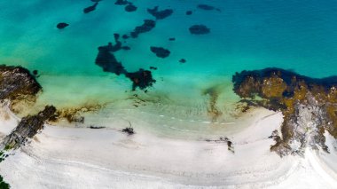 Norveç 'te turkuaz sularla buluşan beyaz kumlu bir sahil manzarası kayalık çıkıntılar ve yemyeşil bitki örtüsüyle. Kolbedeliden Sahili, Lofoten