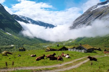 Bir inek sürüsü heybetli dağlarla ve alçak bulutlarla çevrili bir vadide huzur içinde otluyor. Çimen çatılı geleneksel ahşap evler manzarayı süslüyor..