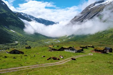 Norveç 'te bir vadi manzarası, geleneksel evler ve otlayan sığırlar, hepsi yemyeşil çayırlar, dağlar ve güzel, bulutlu bir gökyüzü arasında yuva yapmış..