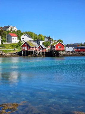 Berrak suların üzerinde renkli kamaralar dinlenirken yemyeşil ve açık mavi gökyüzü sakin bir kıyı atmosferi yaratıyor. Lofoten Norveç 