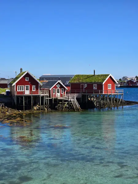 Garip kırmızı kulübeler Norveç 'in dingin sularında güneş ışığıyla yıkanmış cambaz ayaklıklarının üzerinde zarif bir şekilde yükseliyor. Lofoten Norveç 