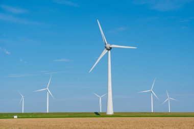 Uzun rüzgar türbinleri yenilenebilir enerjiyi kullanarak Hollanda 'nın düz arazisindeki canlı mavi gökyüzüne karşı zarif bir şekilde duruyor..