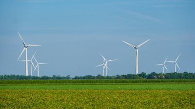 Hollanda 'nın canlı alanlarında, açık mavi gökyüzü altında yenilenebilir enerji elde etmek için zarifçe dönen rüzgar türbinleri,.