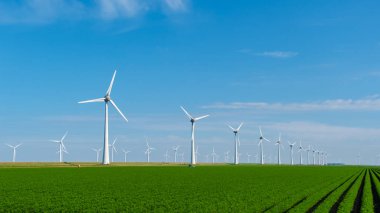 Uzun rüzgar türbinleri açık mavi gökyüzüne karşı enerjik bir şekilde dönerek Hollanda kırsalında yenilenebilir enerjiden faydalanıyor. Yel değirmeni parkı Hollanda 'da yeşil enerji üretiyor.