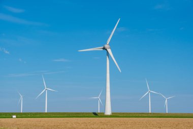 Görkemli rüzgar türbinleri, açık mavi gökyüzüne karşı zarafetle dönüyor. Hollanda 'da temiz enerji yaratmak için rüzgar enerjisini kullanıyorlar..