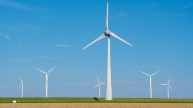 Yenilenebilir enerjiyi kullanan zarif rüzgar türbinleri Hollanda 'nın Noordoostpolder bölgesindeki mavi gökyüzü ve yeşil alanlara karşı dimdik ayakta duruyor.