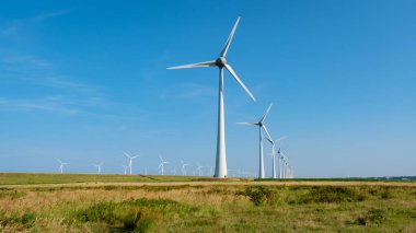 Yükselen rüzgar türbinleri, Hollanda 'nın sakin kırsalındaki yemyeşil otlaklarla çevrili açık mavi gökyüzü üzerinde zarifçe dönerler. Urkerveld Urk Hollanda