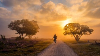 Zuderheide Veluwe Hollanda 15 Haziran 2024 'te, bir bisikletçi dingin bir patika boyunca dolaşırken, güneş yemyeşil ağaçların arkasında batıyor..