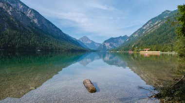 Plansee 'nin sakin yüzeyinde, görkemli dağlarla ve yemyeşil yeşilliklerle çevrili güneş ışığı ışıltıları dans ediyor. Yalnız bir kütük berrak suda huzur içinde yatar, sakin atmosferi güçlendirir..