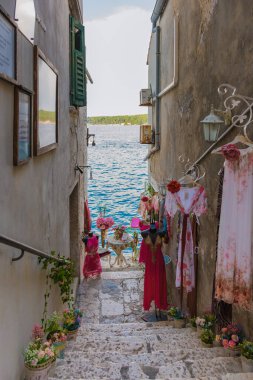 Rovinj Hırvatistan 27 Ağustos 2024, Rovinj 'deki pitoresk bir ara sokağı saran, rüzgarda hafif hafif sallanan, yemyeşil çiçekler ve Adriyatik Denizi' nin ışıl ışıl sularıyla çevrili