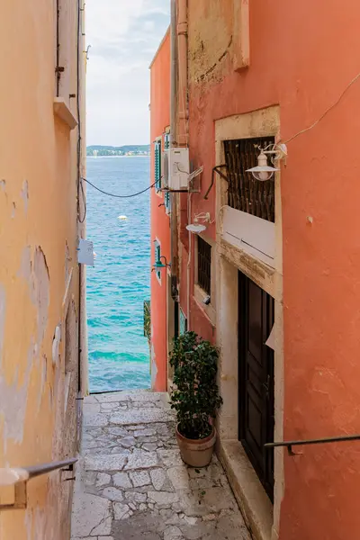 stock image A picturesque alleyway in Rovinj, Croatia, features vibrant orange walls and a glimpse of turquoise water. Lush greenery adorns the entrance, inviting exploration on a bright day.