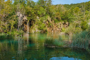 Plitvice Göllerinin dingin suları etrafındaki ağaçların canlı yeşilliklerini yansıtırken kayalık kayalıklardan yumuşak şelaleler çağlayarak doğada barışçıl bir vaha oluşturur..