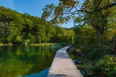 Hırvatistan 'daki Plitvice Gölleri' nin berrak sularında yemyeşil bir yol esiyor, parlak mavi gökyüzü altında keşif ve barışı davet ediyor..