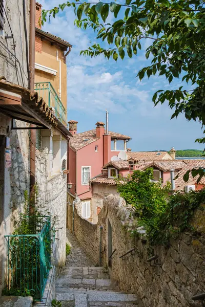 Rovinj 'in pitoresk sokakları boyunca gezinen canlı binalar, bu büyüleyici sahil kasabasında keşif ve eğlenceye davetiye çıkaran parlak bir gökyüzünün altındaki yolu çerçevelediler..