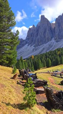 Dolomitler 'de sakin bir sonbahar günü yaşayın, görkemli dağların mavi gökyüzüne karşı yükseldiği, Geisler Alm Odle Dağı, Alto Adige, Dolomitler, İtalya
