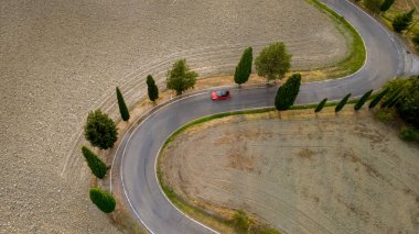 A vibrant red car navigates a twisting road surrounded by lush cypress trees, revealing the tranquil beauty of Tuscany during a golden sunset, perfect for an enchanting journey. clipart