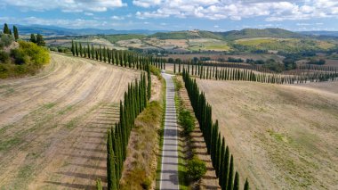 Serin selvi kaplı bir yol, altın tarlalar ve yuvarlanan tepelerle çevrili Toskana kırsalında esiyor. Canlı gökyüzü bu büyüleyici bölgedeki doğanın güzelliğini gözler önüne seriyor..