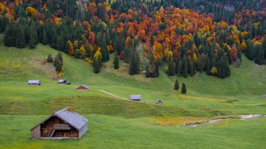 Huzurlu Falensee bölgesinde, sonbahar yaprakları, İsviçre 'de doğanın güzellikleriyle dolu bu resimli İsviçre manzarasını güzelleştiren kırsal kabinler ile tepeleri canlı hale getirir.