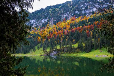 Appenzell 'in kalbine yerleşen canlı sonbahar renkleri, ağaçlar Falensee' nin sakin kıyılarını çizerken manzarayı resmediyor. Renkleri durgun sularda yansıyor, doğanın güzelliğini sergiliyor..