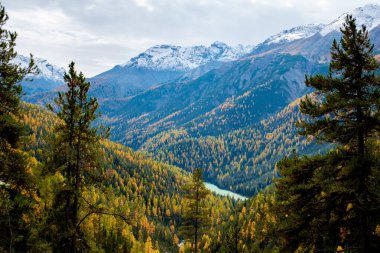 Amidst towering mountains and vibrant autumn foliage, a tranquil view of Falensee captures the beauty of nature. The lush valley adorned in golden hues reflects the serene charm of Switzerland. clipart