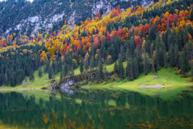 Appenzell 'in göbeğinde, Falensee görkemli zirveler ve yemyeşil sularla çevrili canlı kırmızı ve sarılar ile sonbahar yapraklarını sergiliyor..