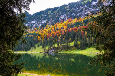 Sonbahar ağaçları canlı renklerle boyarken Falensee 'nin sakin suları renkli yeşillikleri yansıtıyor ve İsviçre' nin Appenzell şehrinde görkemli dağların arasına yerleşmiş görkemli bir manzara yaratıyor..