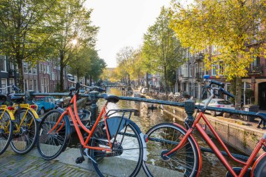 Altın sonbahar yaprakları ağaçların arasından süzülen güneş ışığı gibi Amsterdam 'ın sakin kanallarını kaplıyor. Kenarlara renkli bisikletler park edilmiş, bu resim ortamında keşif yapmaya davet ediyorlar..